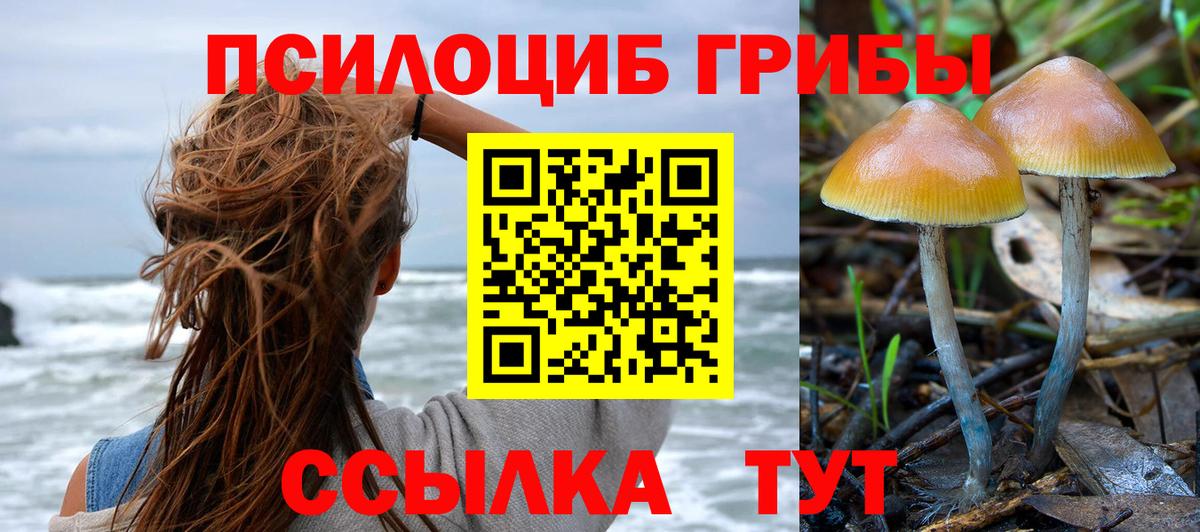 Псилоцибиновые грибы Cubensis  Галлюциногенные грибы мухоморы  Кисловодск  Вход с VPN 