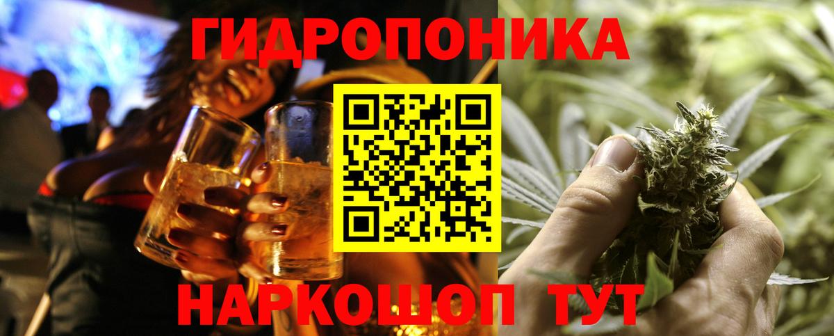 Марихуана сатива  Марихуана план  Кисловодск  Вход с VPN 